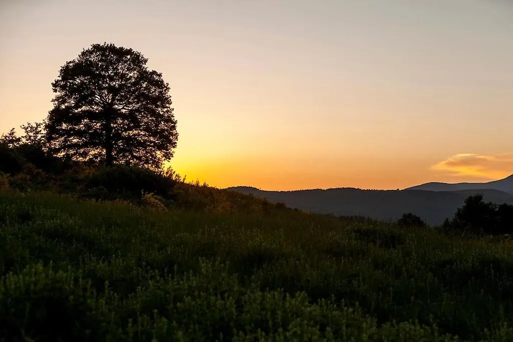 Villa Tuscan Chalet - Relax And Nature In The Hills Pietralunga  Italy